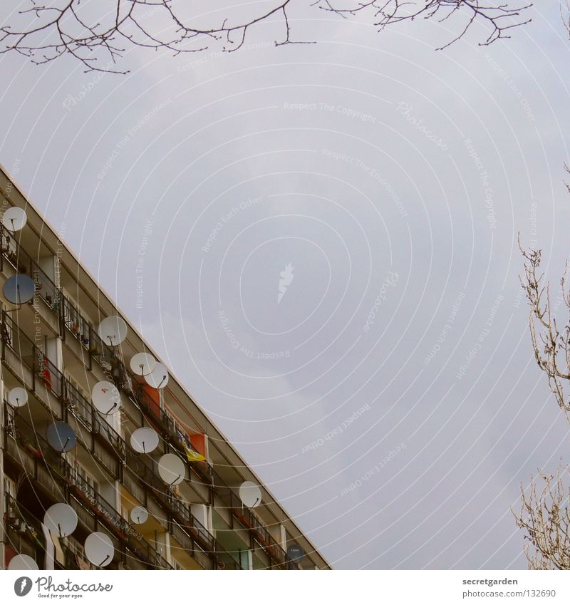 guter empfang. jetzt auch in farbe. Hochhaus Haus Hochbau Baum Satellitenantenne Plattenbau Ausländer Fernsehen Balkon Ferien & Urlaub & Reisen mehrfarbig