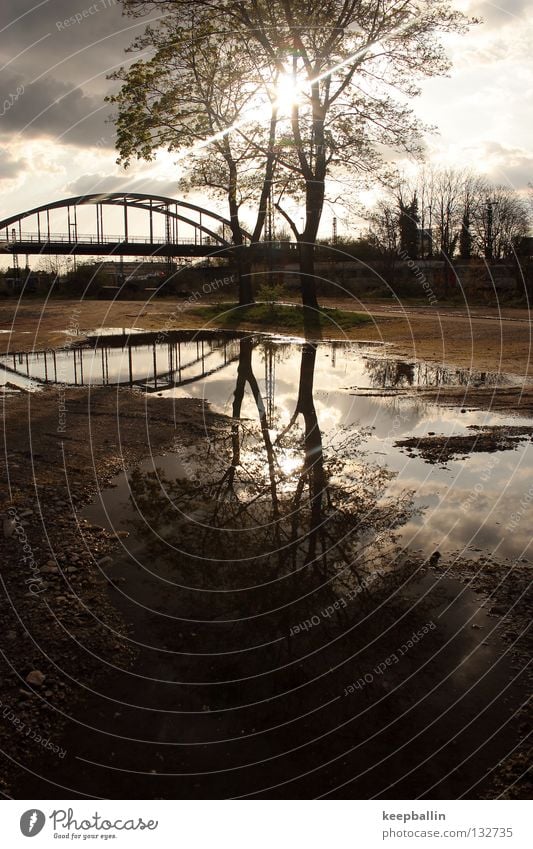 Spiegelung Baum Reflexion & Spiegelung Mittag Brücke Erde Sand Sonne Beleuchtung Wasser Himmel