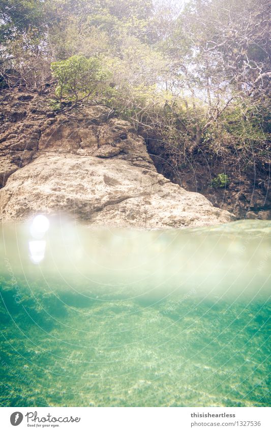 halb/halb Sommer Sommerurlaub Sonne Meer Wassersport Schwimmen & Baden Küste Bucht Fjord Riff Karibik Karibisches Meer Insel Bequia Stein tauchen blau gelb grün