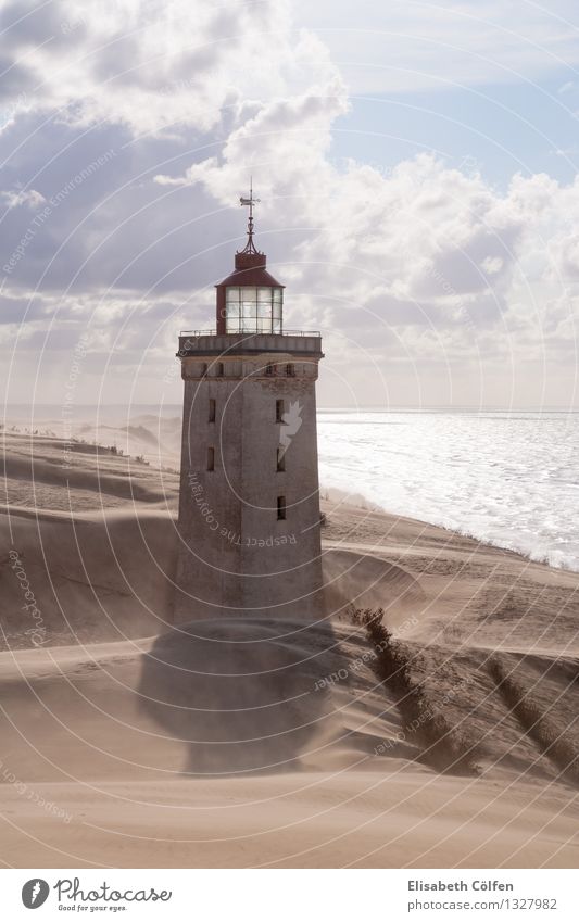 Sandsturm am Leuchtturm Rubjergs Knude Rubjerg Knude Dänemark Landschaft Wahrzeichen Sonne Küste Wanderdüne Wüste Jütland Nordjütland Dünen Naturdenkmal Reise