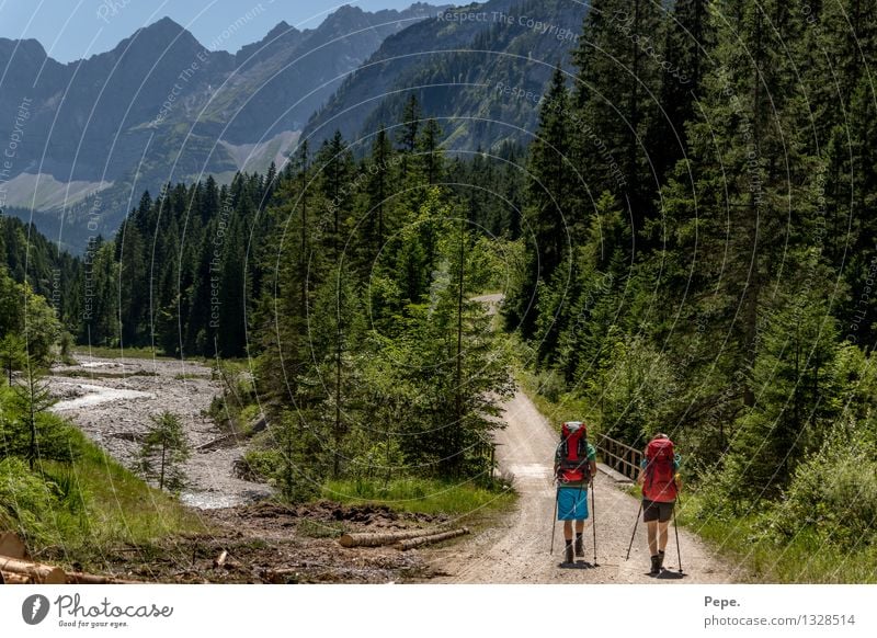 unterwegs Umwelt Natur Landschaft Wolkenloser Himmel Wald Felsen Alpen Berge u. Gebirge Gipfel wandern grün rot gehen Rucksack Farbfoto Panorama (Aussicht)