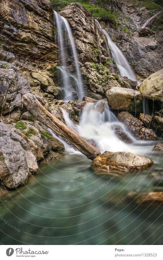 Wasser Umwelt Natur Berge u. Gebirge Fluss wild blau grün fließen Baumstamm Kraft Langzeitbelichtung Moos Farbfoto Abend