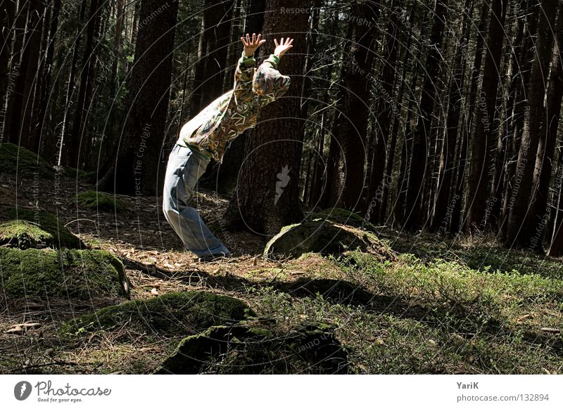 schräge welt verrückt Monster messen Jacke Wald Baum Hand Hose Ungeheuer Mann Waldboden mehrfarbig Farbe dumm Brille Sonnenbrille Wolf schreien Vollmond Werwolf