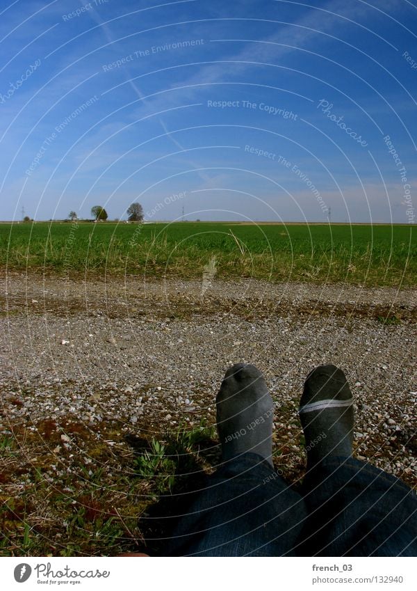 Sockenproblematik I Kondensstreifen Himmel zyan grün Gras Strümpfe Verschiedenheit 2 schwarz Streifen Baum Kies grau Hose dunkel Frühling Sommer Pause lüften