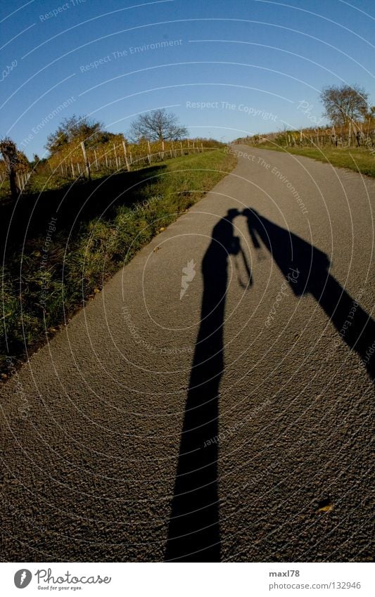 shadow kiss Küssen Asphalt Weinbau Schal Baum Liebe Schatten Straße Wege & Pfade