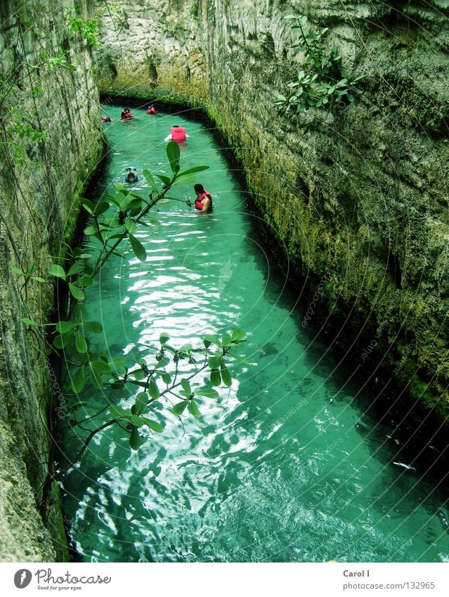 treiben lassen Schlucht Pflanze Rettung Strömung Schwimmweste Ferien & Urlaub & Reisen Reflexion & Spiegelung genießen Bach Attraktion tauchen Sport Wassersport