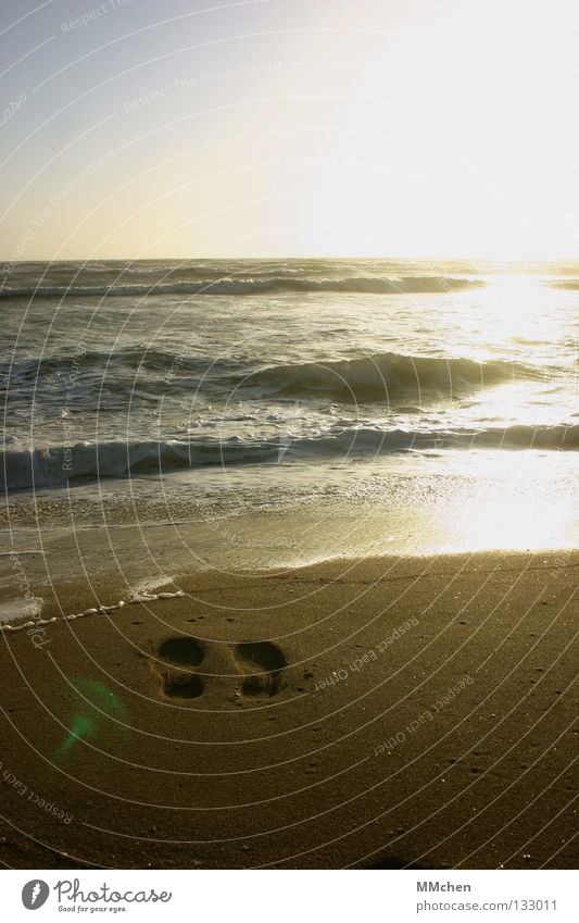 Verschwunden Meer Sehnsucht Fernweh Horizont Strand Fußspur spülen Wellen Rauschen Ebbe Wasser Sonne Sand Nimm mich mit - Kapitän - auf die Reise verloren