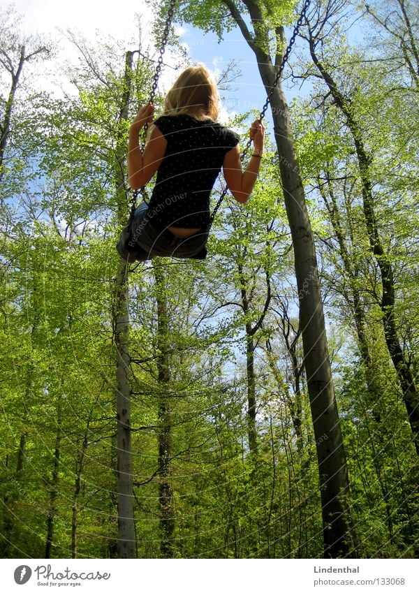 Himmelsschaukel Schaukel Frau Ferne Schwung Spielplatz Sommer Frühling Freude hoch Seil Kette Außenaufnahme