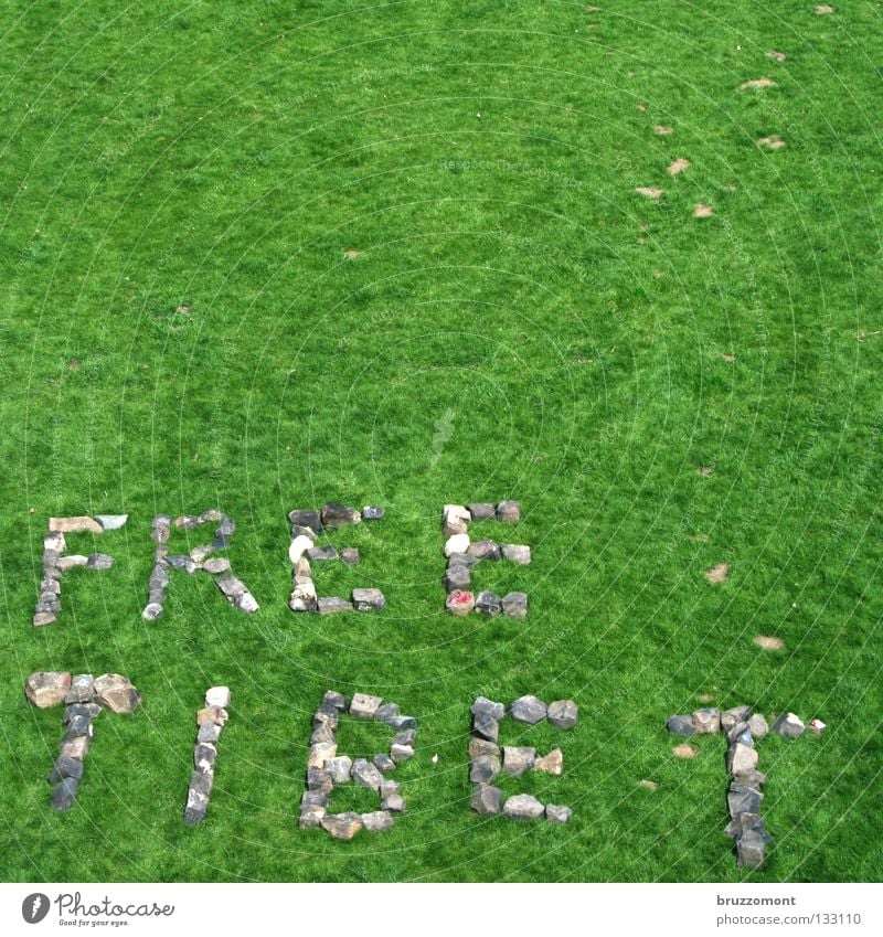 s.t. Wiese Gras Tibet Konflikt & Streit China protestieren Zensur Freiheit Politik & Staat Asien Stein Kopfsteinpflaster Lama Dalai Fackellauf Olympiade