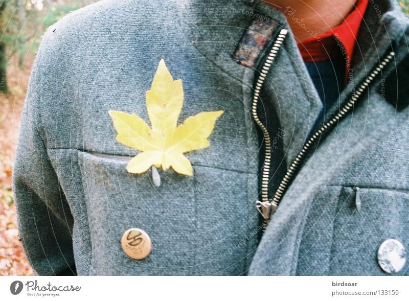 hey, leaf man! i Freude Filmindustrie Herbst Leben Brise Jacke Blatt matt and tromped through the blustery autumn woods one gold day.