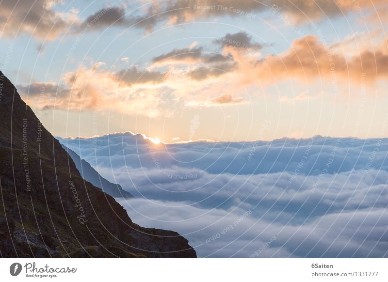 Sonne und mehr Wolkenmeer Umwelt Natur Urelemente Luft Wasser Himmel Sonnenaufgang Sonnenuntergang Sommer Klima Wetter Schönes Wetter Felsen Alpen