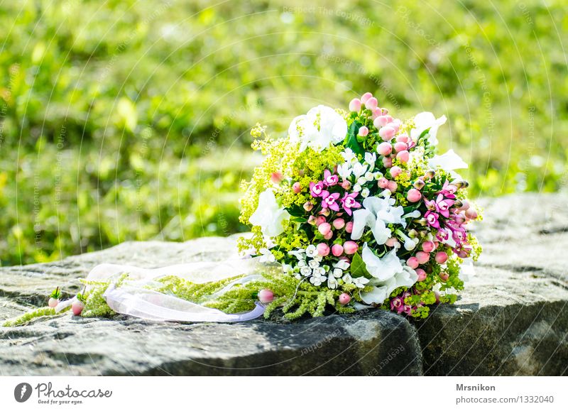 Wer fängt den Strauß? Feste & Feiern Hochzeit ästhetisch Blumenstrauß Hochzeitspaar Ehe Jubiläum Mauer Schleier Sommer blumig schön gebunden rosa weiß grün