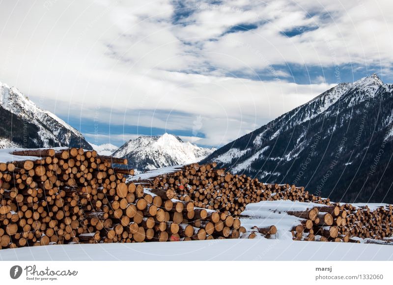 Genügend Holz für einen kalten, langen Winter Natur Landschaft Wolken Schönes Wetter Schnee Alpen Berge u. Gebirge Gipfel Schneebedeckte Gipfel Ordnungsliebe