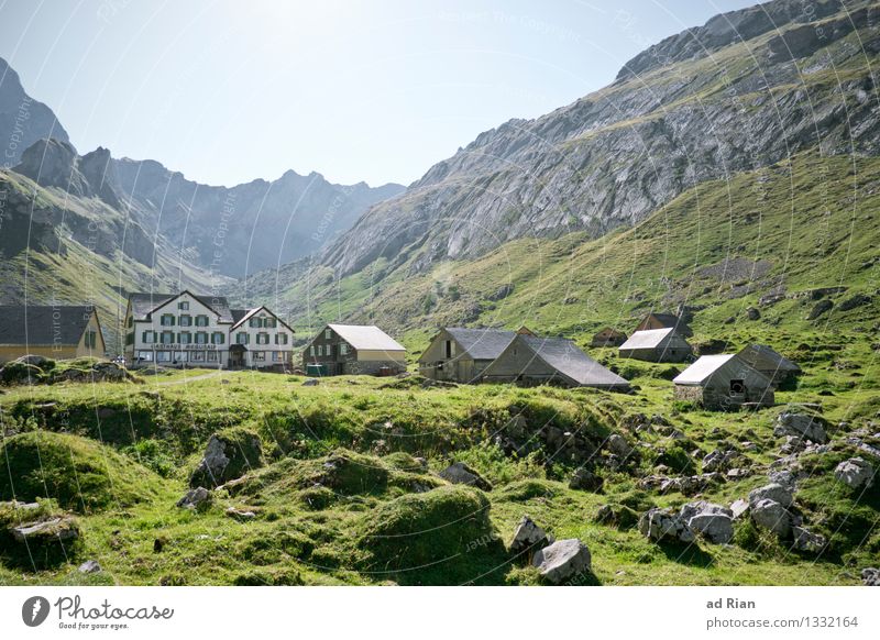 Postkartenwelt [2] wandern Landwirtschaft Forstwirtschaft Umwelt Natur Landschaft Wolkenloser Himmel Sommer Schönes Wetter Grünpflanze Nutzpflanze Wildpflanze