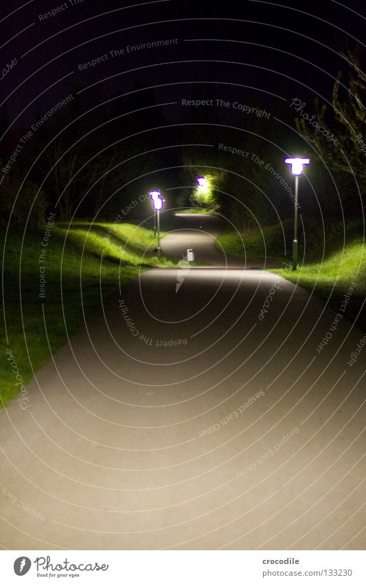 Nachhauseweg Nacht gehen Laterne dunkel Baum Wiese Gras Beleuchtung unheimlich gefährlich Himmel Abend Wege & Pfade starße Dämmerung hell