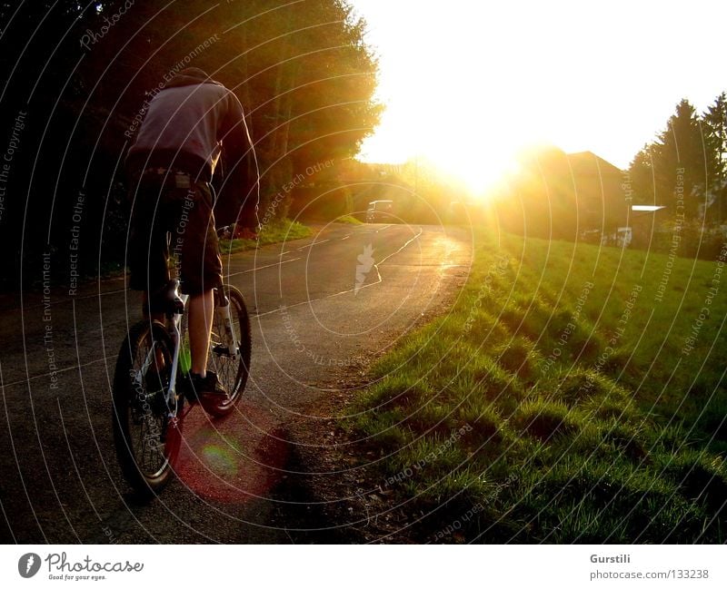 Fahrt in die Abendsonne Farbfoto Außenaufnahme Licht Sonnenstrahlen Spielen Fahrradfahren Natur Sonnenaufgang Sonnenuntergang Sommer Schönes Wetter Gras Wiese