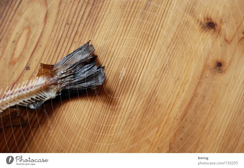 zwo Tisch Schwanz Fischgräte Fett Schweinefilet Skelett Fleisch Küche Schwimmhilfe Scheune Haut Forelle geräuchert filetieren entgräten Fischfont Karkasse