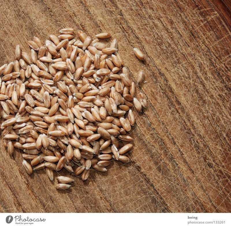 Haufen Dinkel Mühle zerkleinern Mehl Roggen Weizen Gerste Grünkern Brot Müsli Vollkorn ökologisch Sandale Bäcker Bäckerei Korn Vorrat dreschen Backwaren