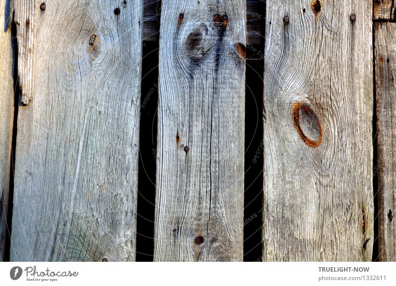 Alte Bretter Natur Menschenleer Ruine Bauwerk Mauer Wand Tür Bretterzaun Denkmal Holz braun grau schwarz Senior Armut ästhetisch bedrohlich geheimnisvoll