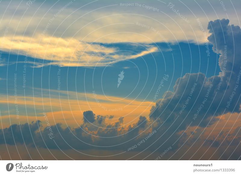 Gewitterfront Umwelt Natur Urelemente Gewitterwolken Klimawandel Wetter schlechtes Wetter Unwetter bedrohlich fantastisch blau gelb gewitterschäden