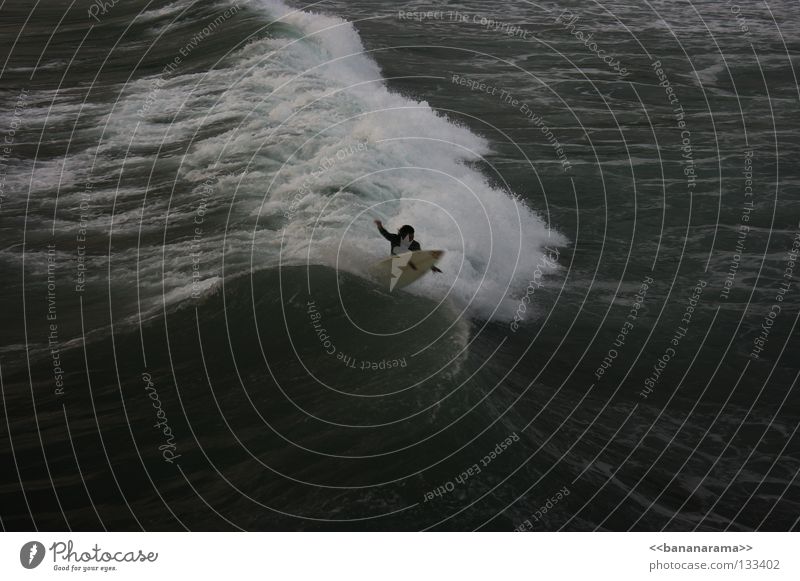 Pop the wave Surfen Surfer Meer Surfbrett Kalifornien Trick Sport Strand springen Funsport San Diego County Wave perfekte Welle Wasser Sea Wildwasser Wettsuit