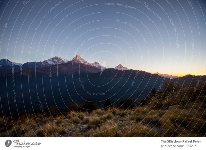 Morgenstund... Umwelt Natur Landschaft Urelemente Luft blau braun gold orange schwarz weiß Berge u. Gebirge hoch Gras Sonnenaufgang Gipfel Aussicht Poon Hill