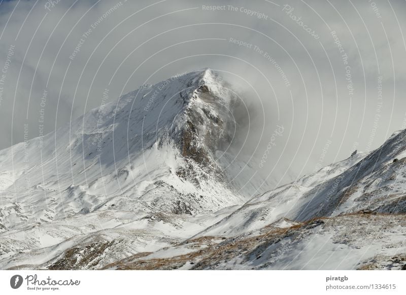 Wolkenmeer am Schartenkopf Landschaft Schnee Berge u. Gebirge "Schartenkopf Alpen" Schneebedeckte Gipfel wandern bedrohlich kalt demütig Farbfoto Außenaufnahme