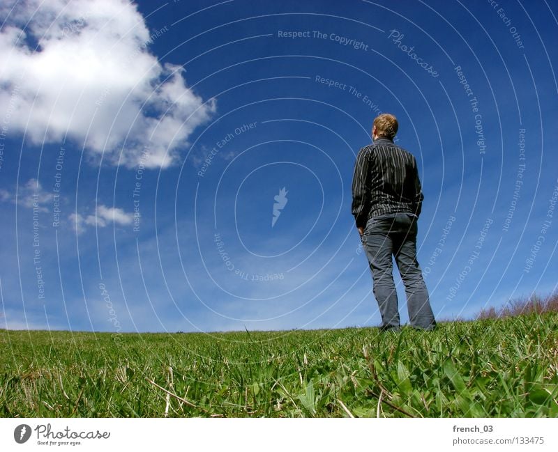 Ausblick im Frühjahr II Freiheit wandern Arbeitslosigkeit Mensch maskulin Jugendliche Natur Himmel Wolken Frühling Sommer Schönes Wetter Gras Park Wiese Hemd