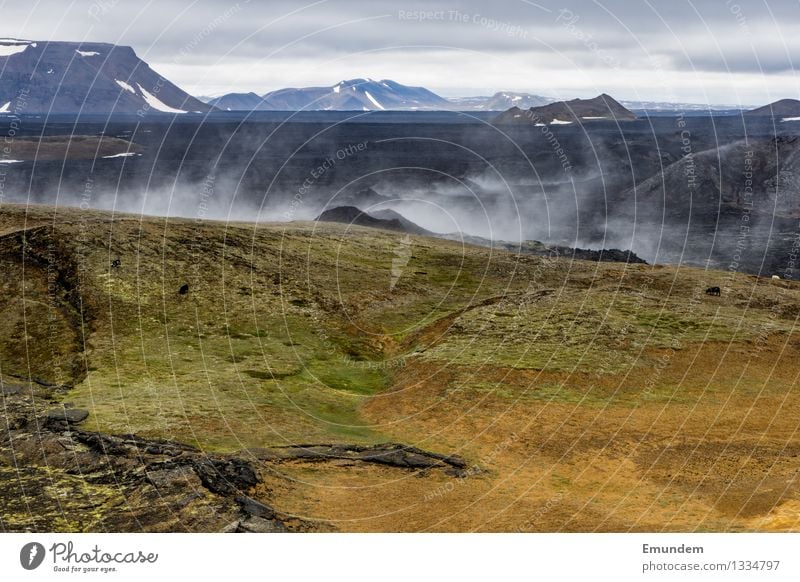 Volldampf Ferien & Urlaub & Reisen Tourismus Ferne Umwelt Natur Landschaft Urelemente Erde Wasser Vulkan Krafla Island heiß wild braun grün schwarz Geothermik