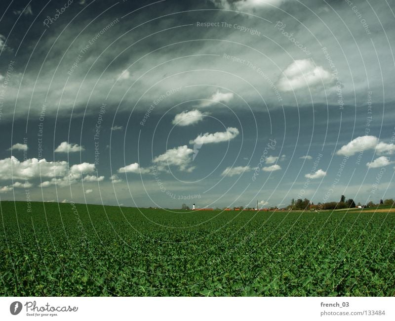 Inningen bei Augsburg II Wolken Himmel grau Pol- Filter Baum Gras Feld Horizont Baumreihe grün Altokumulus floccus Landwirtschaft leer Ferne Sonntag genießen