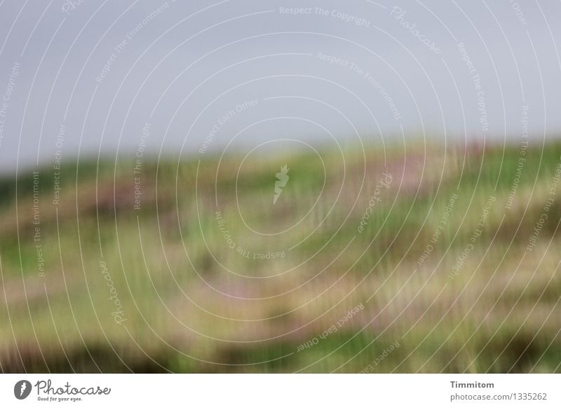 Trüber Blick. Ferien & Urlaub & Reisen Umwelt Natur Landschaft Sommer schlechtes Wetter Regen Düne Dänemark nass natürlich blau grün Fensterscheibe Farbfoto