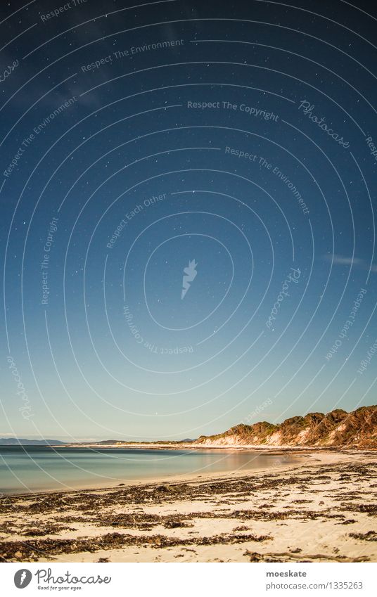 Südmeer bei Nacht Umwelt Landschaft Urelemente Erde Sand Wasser Wolkenloser Himmel Nachthimmel Stern Horizont Winter Schönes Wetter Hügel Küste Strand Bucht