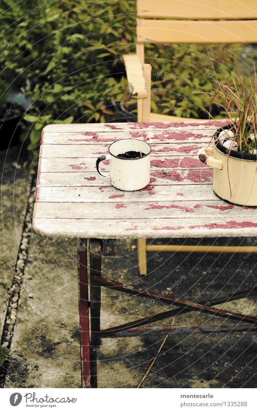 bei schrebers.... Umwelt Natur Pflanze Erde Herbst Sträucher Blatt Grünpflanze Wildpflanze Topfpflanze Tisch Stuhllehne Gartenstuhl Tasse Schrebergarten Stein