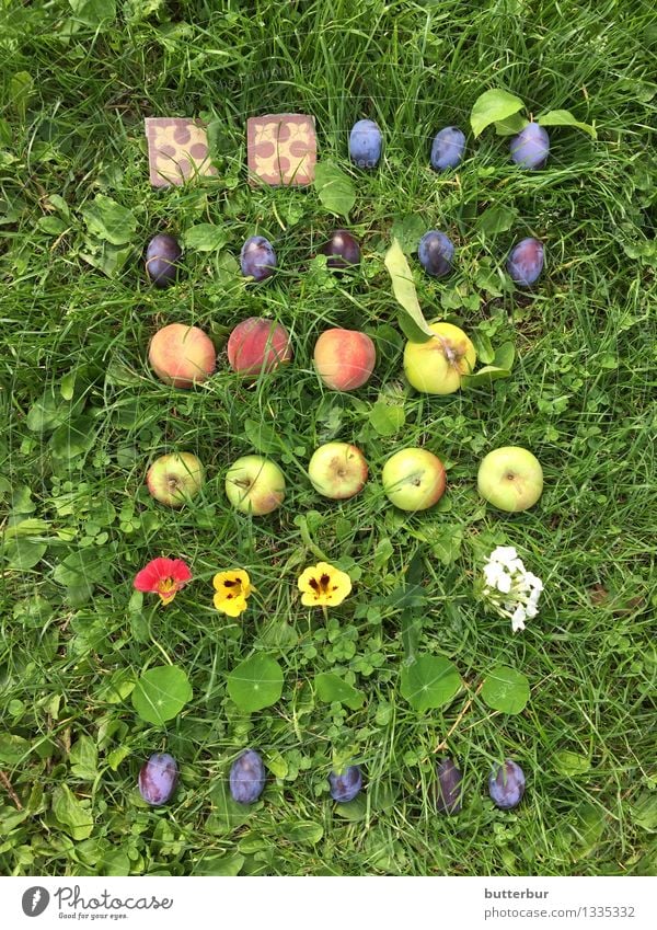 Pflaume oder Apfel? Frucht Kapuzinerkresse Gesunde Ernährung Freizeit & Hobby Garten Natur Landschaft Sommer Herbst Schönes Wetter Pflanze Blume Gras Blatt