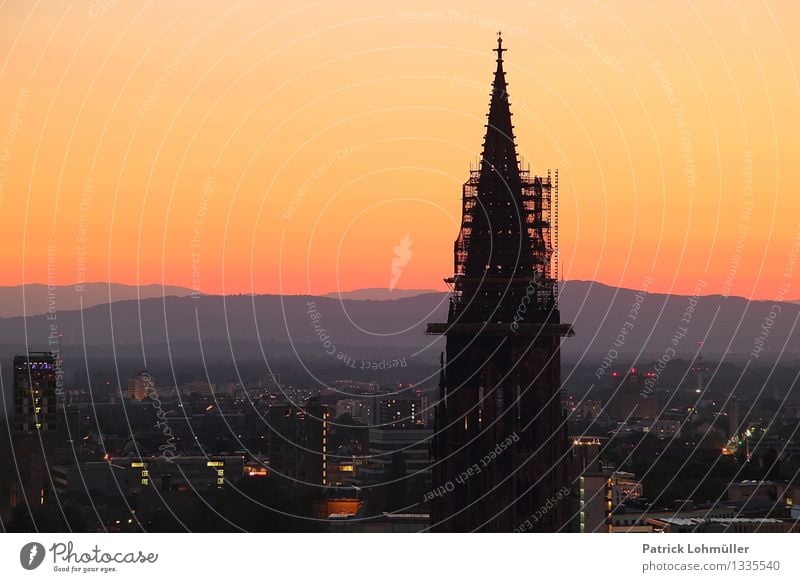 Dämmerung über Freiburg Tourismus Städtereise Baustelle Architektur Umwelt Landschaft Wolkenloser Himmel Horizont Sommer Schönes Wetter Freiburg im Breisgau