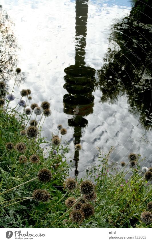 verliebt in... München Wahrzeichen Reflexion & Spiegelung Olympiaturm Olympiapark See Teich olypiasee 1972 Natur Fernsehturm