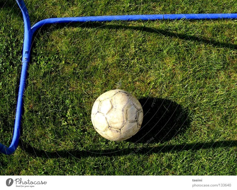 Tor! Stab Gras Leder grün rund ruhig Sport Schatten Fußballtor 1 Vogelperspektive Menschenleer Farbfoto Sportrasen liegen