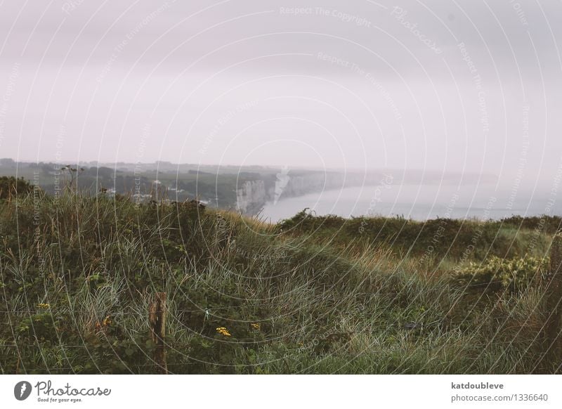 Fécamp Umwelt Natur Landschaft Pflanze Wolken Herbst schlechtes Wetter Nebel Gras Wildpflanze Wiese Felsen Küste Bucht Meer Menschenleer Fernglas Wasser Ferne