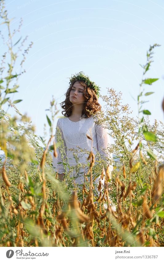 Wiesenkönigin schön Schulkind feminin Mädchen 13-18 Jahre Jugendliche Landschaft Himmel Wolkenloser Himmel Sommer Schönes Wetter Pflanze Feld Kranz