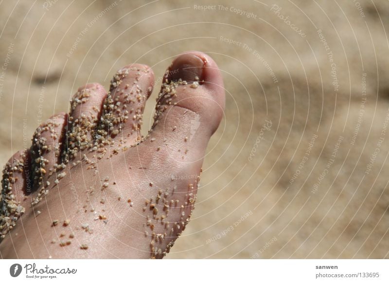 fußpeeling à la nature Zehen Zehennagel Körperpflege Gefäße häuten Strand Sand verwöhnen Wohlgefühl Erholung Ferien & Urlaub & Reisen 5 Meer schön Stein