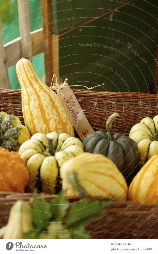 kürbis Lebensmittel Kürbis Bioprodukte Vegetarische Ernährung Umwelt Natur Pflanze Korb Bast Holz authentisch frisch Gesundheit lecker natürlich rund saftig