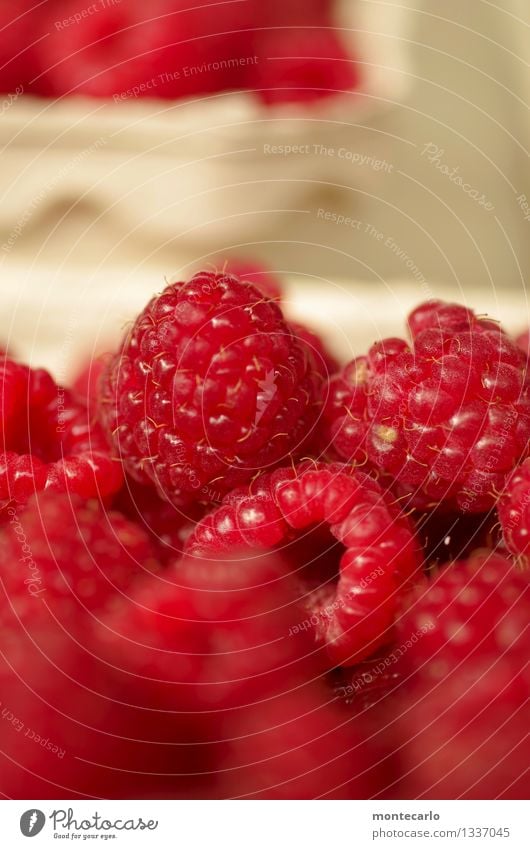 nachtisch Lebensmittel Frucht Dessert Himbeeren Umwelt Natur authentisch einfach frisch Gesundheit klein lecker nah natürlich rund saftig süß trocken wild weich