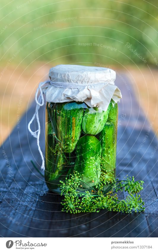 Eingelegte Gurken, die vom Hausgartengemüse und -kräutern gemacht werden Lebensmittel Gemüse Kräuter & Gewürze Bioprodukte Garten Sommer frisch natürlich grün