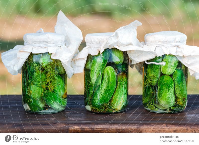 Eingelegte Gurken, die vom Hausgartengemüse und -kräutern gemacht werden Gemüse Kräuter & Gewürze Bioprodukte Garten Sommer frisch natürlich grün Korb