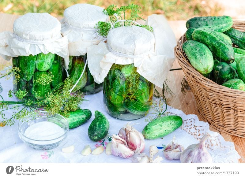 Eingelegte Gurken, die vom Hausgartengemüse und -kräutern gemacht werden Gemüse Kräuter & Gewürze Bioprodukte Garten Sommer frisch natürlich grün Korb