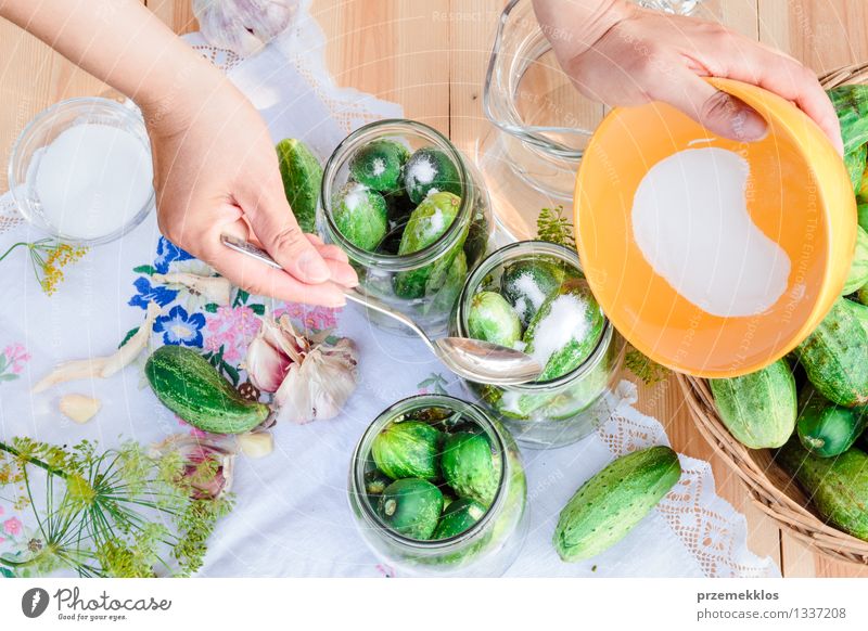 In Essig einlegende Gurken mit Hausgartengemüse und Kräutern Gemüse Kräuter & Gewürze Bioprodukte Garten Frau Erwachsene Hand Sommer frisch natürlich grün Korb