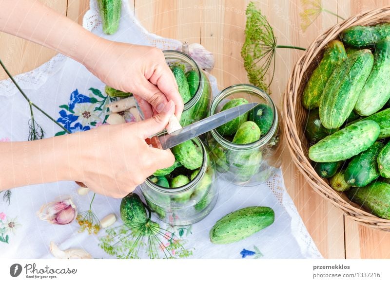 In Essig einlegende Gurken mit Hausgartengemüse und Kräutern Lebensmittel Gemüse Kräuter & Gewürze Bioprodukte Garten Frau Erwachsene Hand Sommer frisch