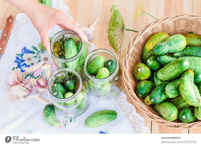 In Essig einlegende Gurken mit Hausgartengemüse und Kräutern Lebensmittel Gemüse Kräuter & Gewürze Bioprodukte Garten Frau Erwachsene Hand Sommer frisch