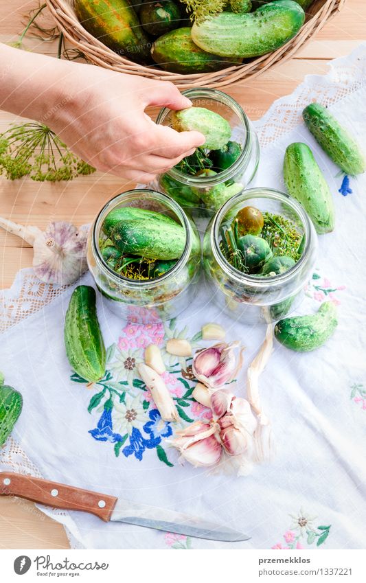 In Essig einlegende Gurken mit Hausgartengemüse und Kräutern Gemüse Kräuter & Gewürze Bioprodukte Garten Frau Erwachsene Hand Sommer frisch natürlich grün Korb