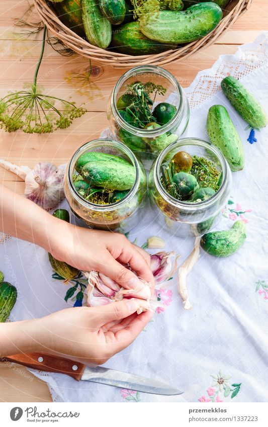 In Essig einlegende Gurken mit Hausgartengemüse und Kräutern Gemüse Kräuter & Gewürze Bioprodukte Garten Frau Erwachsene Hand Sommer frisch natürlich grün Korb